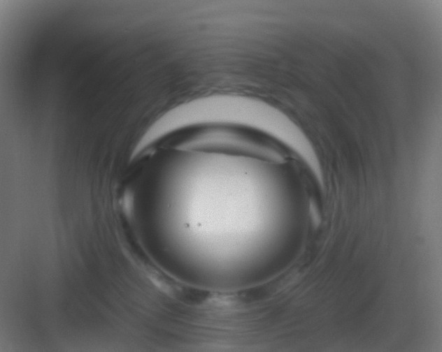 X0000083050280200702091446