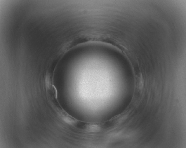 X0000083050287200702091446