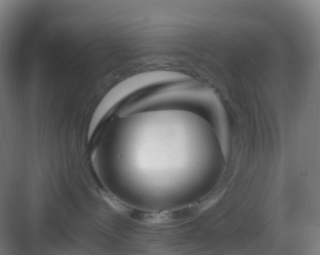 X0000083050288200702091446