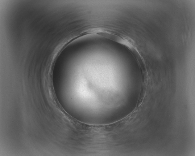 X0000083050289200702091445
