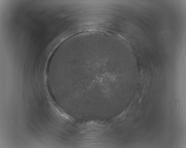 X0000083050290200702091445