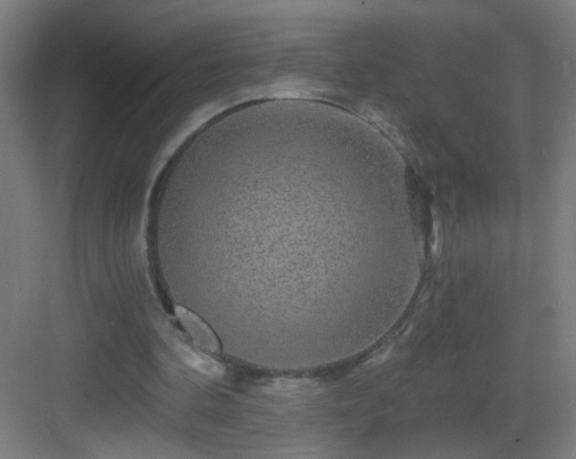 X0000083050292200702091445