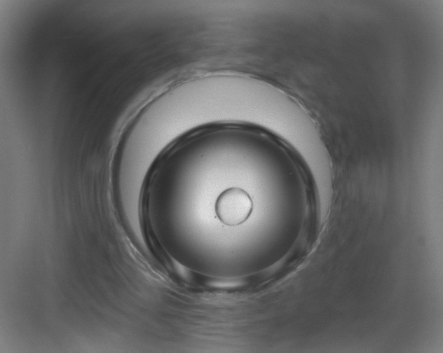 X0000083050293200702091445