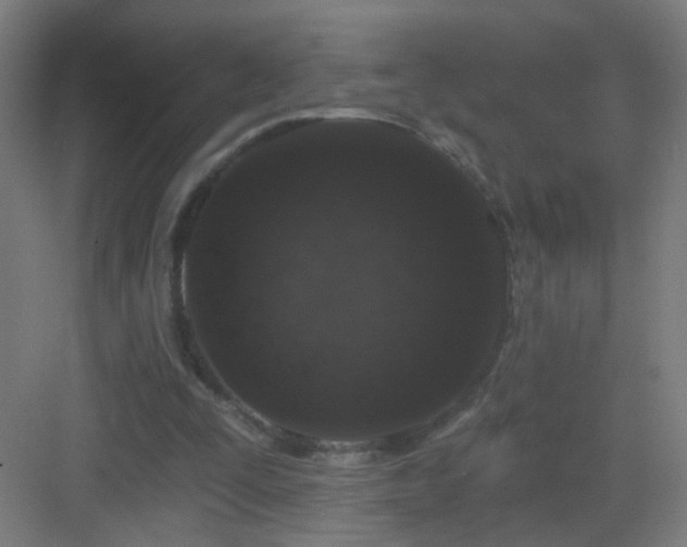 X0000083050295200702091445