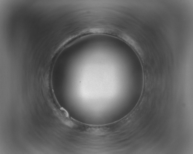 X0000083050297200702091445