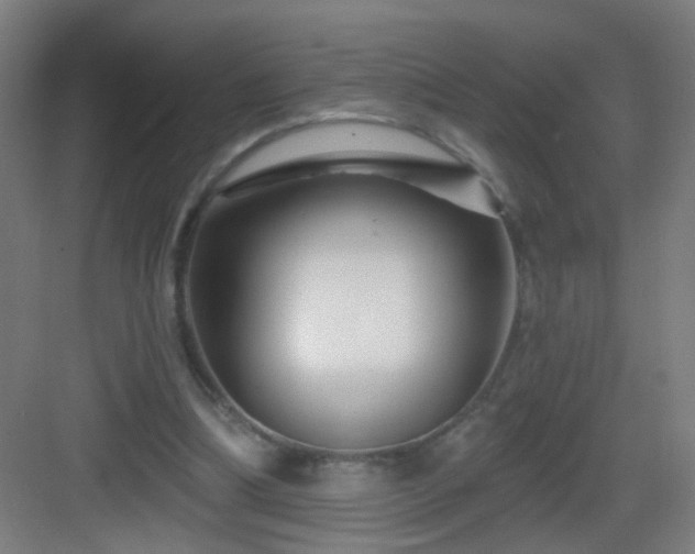 X0000083050298200702091445
