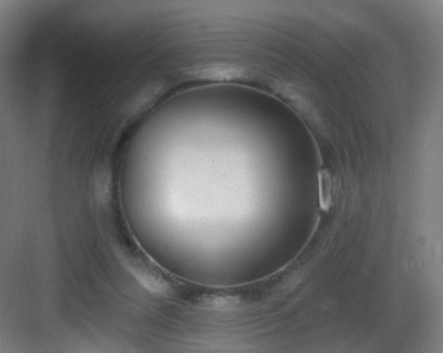 X0000083050304200702091445
