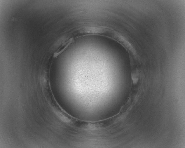 X0000083050305200702091445