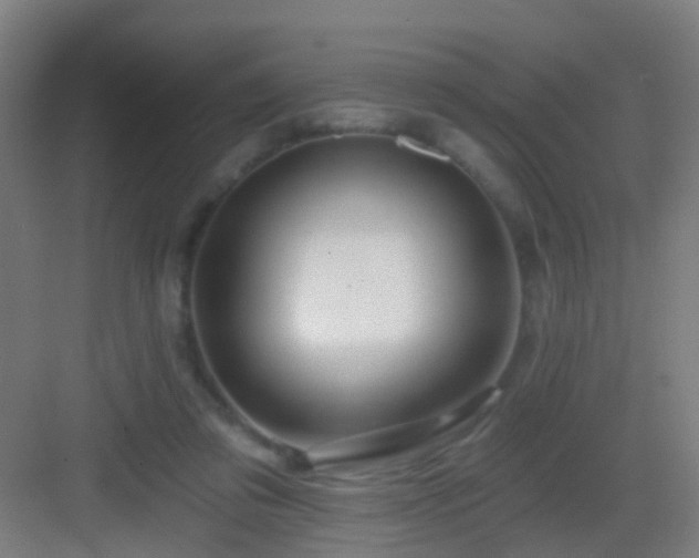 X0000083050309200702091445