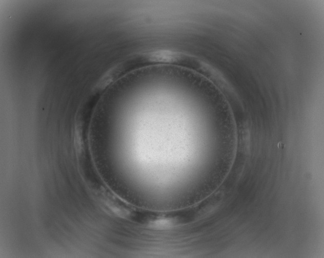 X0000083050312200702091445