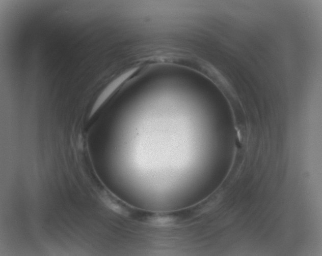 X0000083050313200702091445