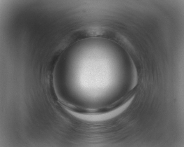 X0000083050315200702091445