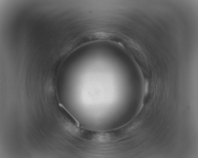X0000083050317200702091445