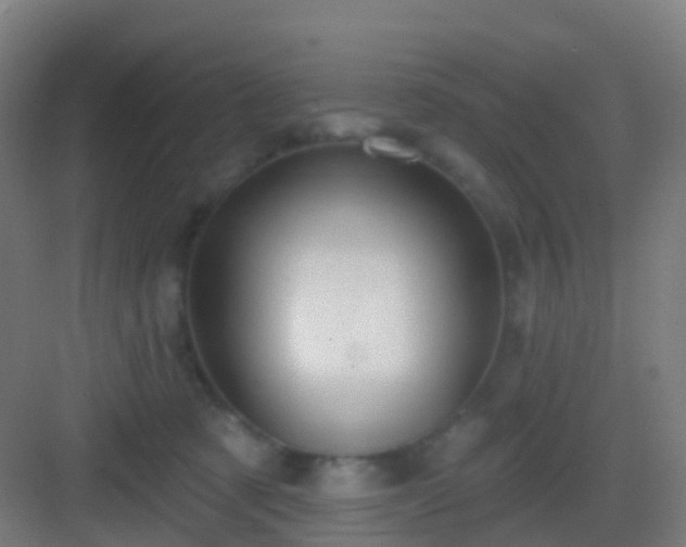 X0000083050321200702091445