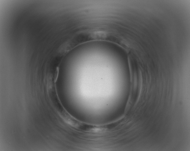 X0000083050323200702091445