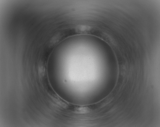 X0000083050324200702091445