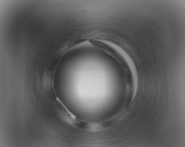 X0000083050333200702091444