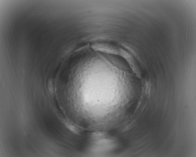 X0000083050335200702091444