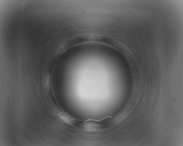 X0000083050336200702091444