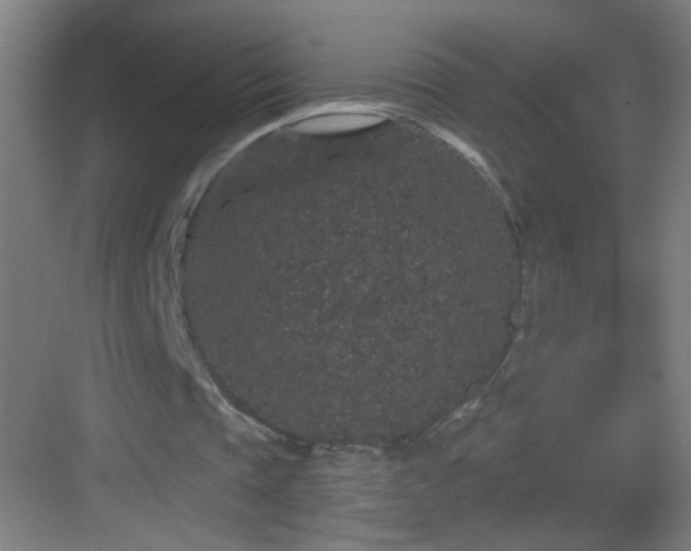 X0000083050337200702091444