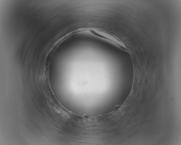 X0000083050338200702091444