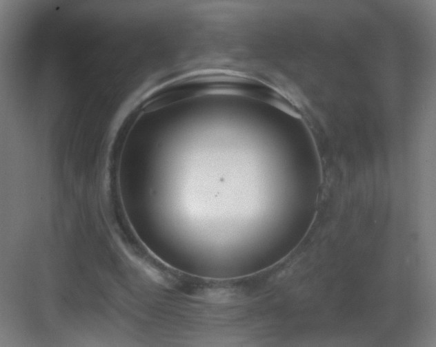 X0000083050344200702091444