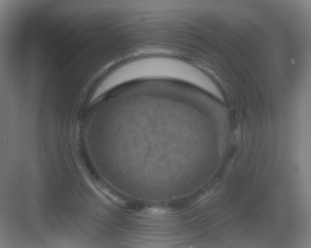 X0000083050352200702091444