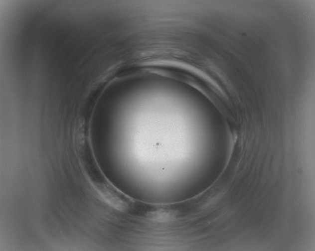 X0000083050356200702091444