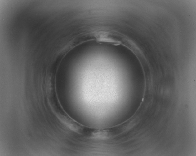 X0000083050362200702091444