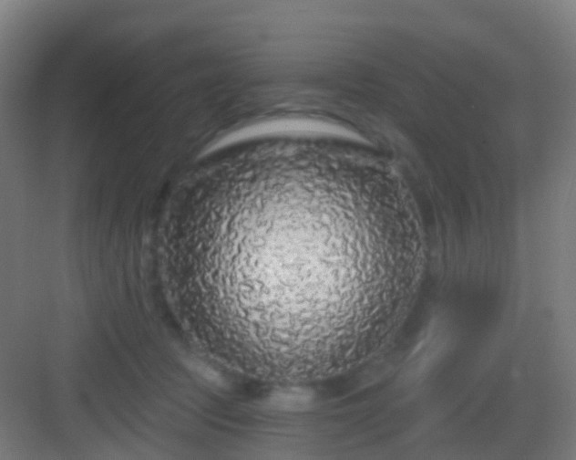 X0000083050369200702091444