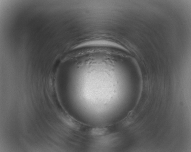 X0000083050373200702091444