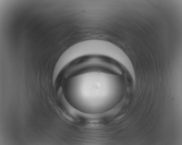 X0000083050380200702091444
