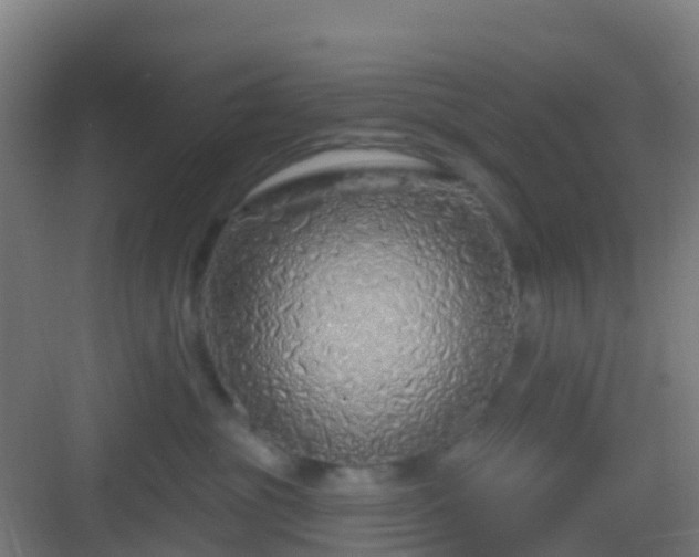 X0000083050381200702091444