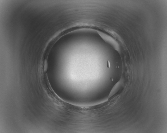 X0000083050388200702091443