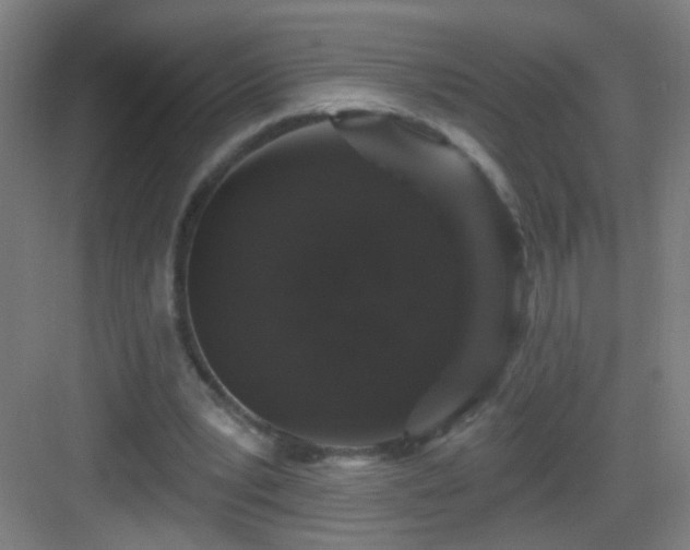X0000083050391200702091443