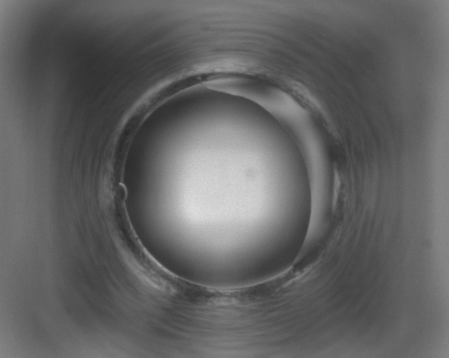 X0000083050392200702091443