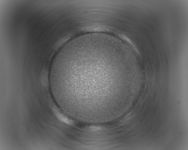 X0000083050394200702091443