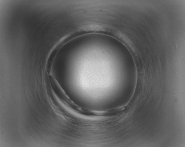 X0000083050395200702091443