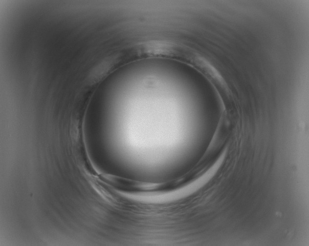 X0000083050401200702091443