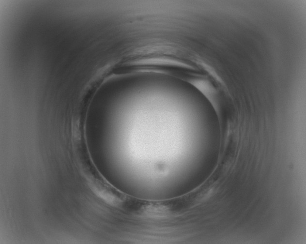 X0000083050403200702091443