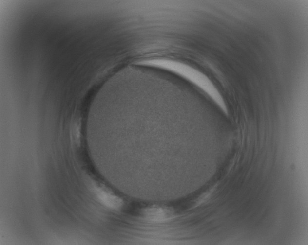 X0000083050404200702091443