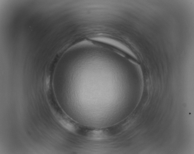 X0000083050406200702091443