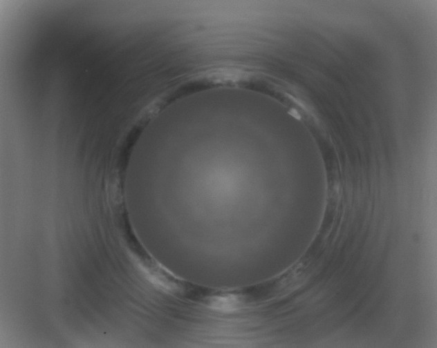 X0000083050411200702091443