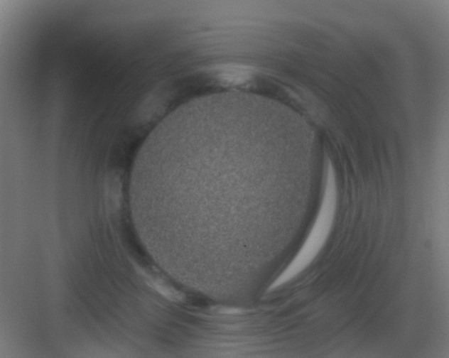 X0000083050412200702091443