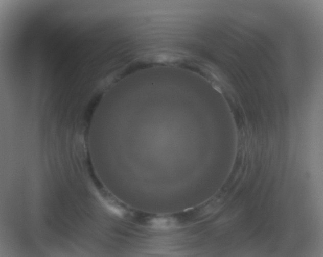 X0000083050415200702091443