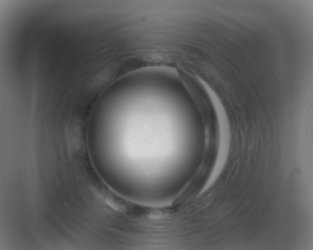 X0000083050416200702091443