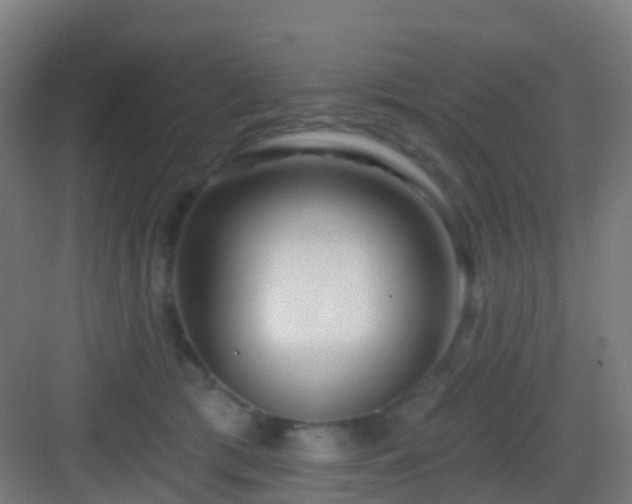 X0000083050417200702091443