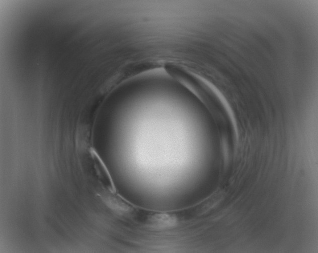X0000083050421200702091443