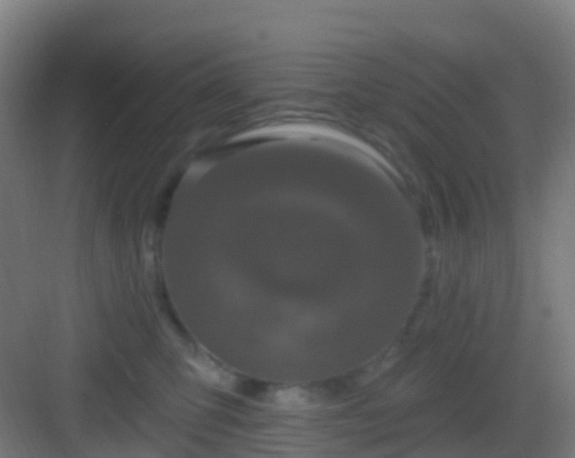 X0000083050423200702091443