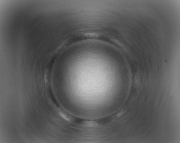 X0000083050424200702091443